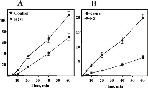 Heme Fe Uptake And Basolateral Transport Assay Control And Ho1 Caco 2 Download Scientific