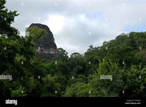 Tikal Pyramids / Tikal, Guatemala Stock Photo - Alamy