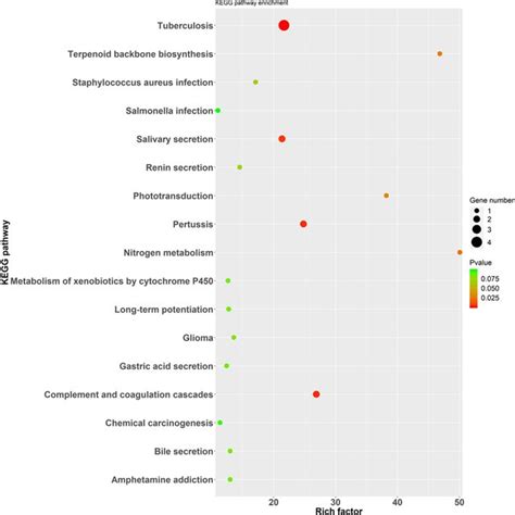 Kegg Pathway Enrichment Of Differentially Expressed Proteins The Download Scientific Diagram