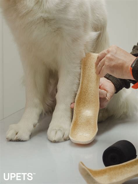 Novel Splint Demonstrates Reduction In Veterinary Casting Complications