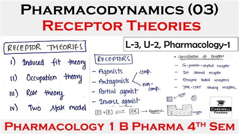 Receptors Pharmacology Receptor Theories And Classification Of