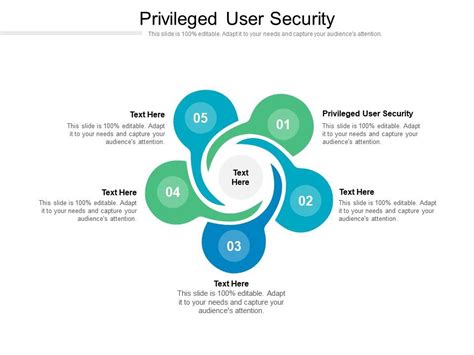 Privileged User Security Ppt Powerpoint Presentation Icon Display Cpb Presentation Graphics