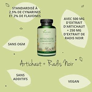 Artichaut BIO Origine FRANCE Radis Noir 90 gélules Dépuratif Foie