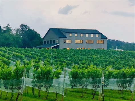 Three Fox Vineyards And Brewery Visit Fauquier County VA