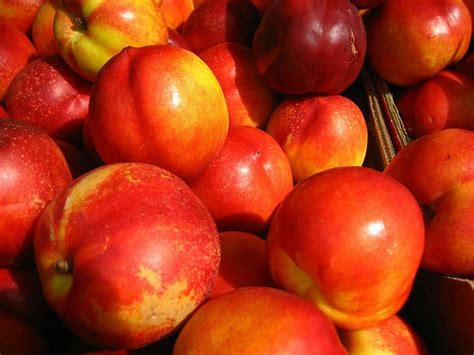 How To Tell If Nectarines Are Ripe Nectarines Fruit Ripe Fruit