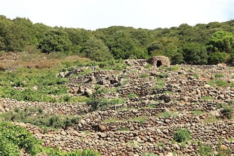 Pantelleria Entra Nel Registro Nazionale Dei Paesaggi Rurali Storici