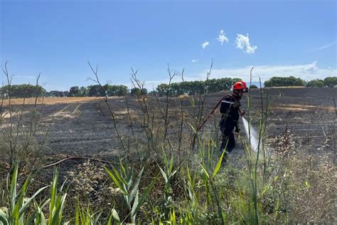 Aleria 30 Hectares De Végétation Brûlés Dans Un Incendie