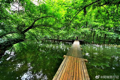 西溪南古村落有1200多年的历史，景色迷人，远离喧嚣逃离城市古村落西溪宏村新浪网