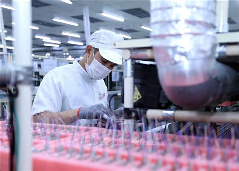 Vietnam Remains Attractive Investment Destination Report