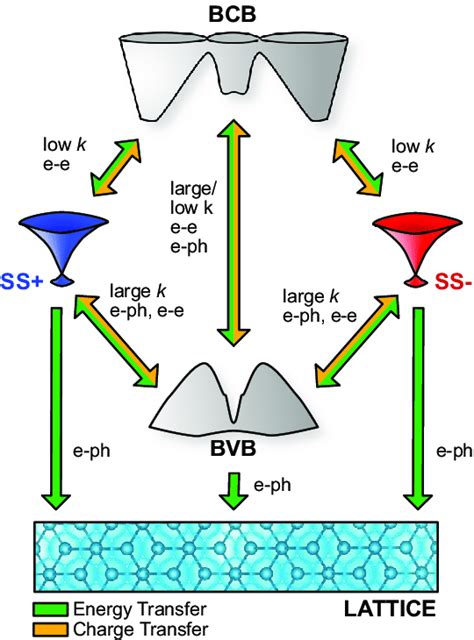 Schematic Illustration Of The Relevant Pathways Of Ultrafast Charge And Download Scientific