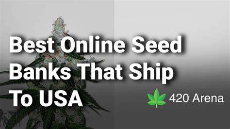 Best Online Seed Banks That Ship To Usa Complete List