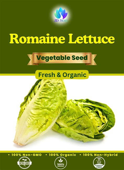 Romaine Lettuce 2000 Unit Non GMO Organic Heirloom Unit All