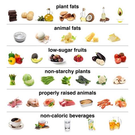 How To Start A Low Carb Diet? | No carb diets, Low carb meal plan ...