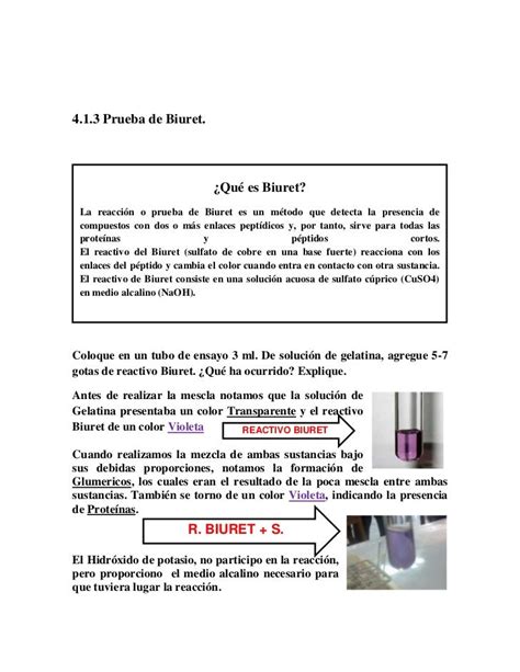 En Que Consiste El Metodo De Biuret Pdf