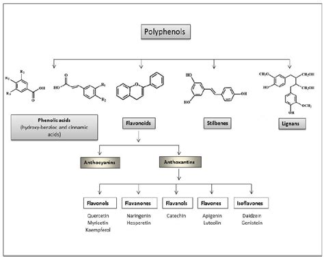 Classification And Structure Of The Main Polyphenols Classes Adapted