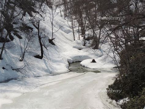 冬限定 雪解けの川 写真素材 4267094 フォトライブラリー Photolibrary