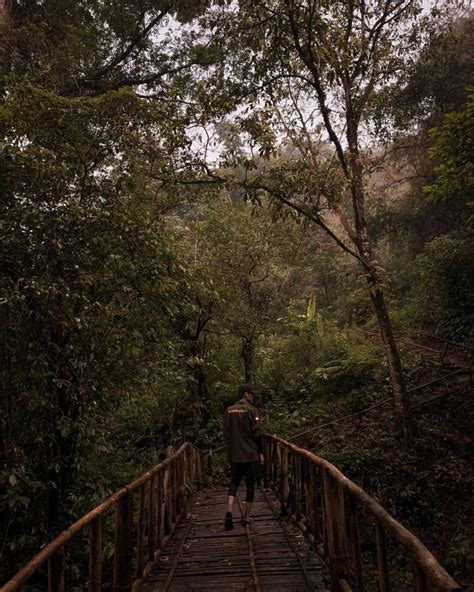 Pendakian Tektok Ke Puncak Gunung Lorokan Cocok Untuk Pemula