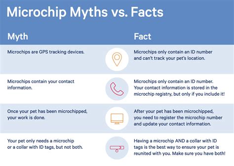 Can You Track A Microchipped Dog