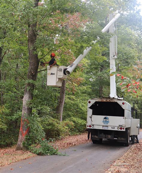 Tree Services — Ed Brooks Tree Service