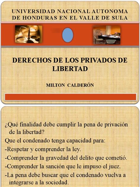 5 Derechos De Los Privados De Libertad 1 Pdf Prisión Justicia