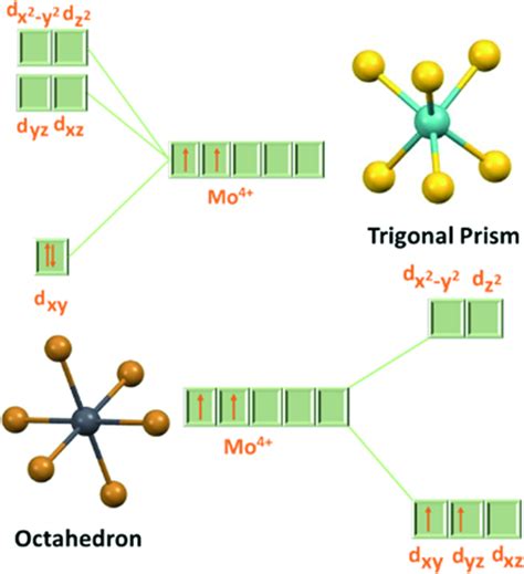 d-orbital splitting diagram in trigonal prismatic and octahedral ...