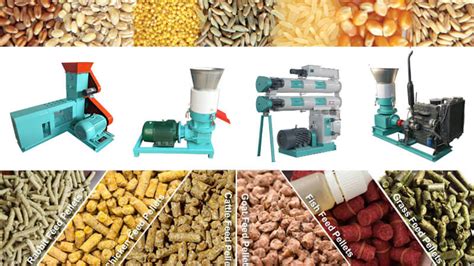 Pellet Machinery for Sale as Animal Feed/Aquafeed Pellet Making Equipment