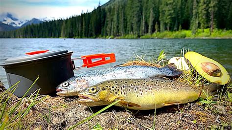 Mountain Trout Catch And Cook Fire Roasted Youtube