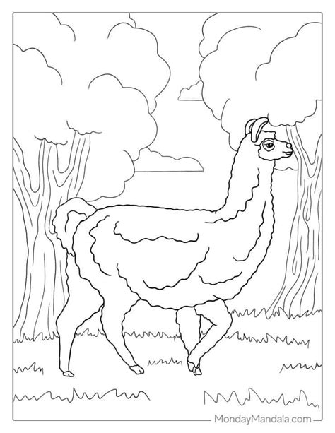 22 Llama Coloring Pages Free Pdf Printables