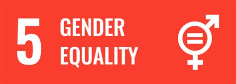 Sustainable Development Goal 5 Gender Equality