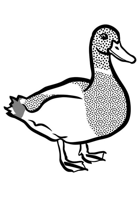 Coloriage Canard Coloriage Canards Coloriages Animaux Porn Sex Picture