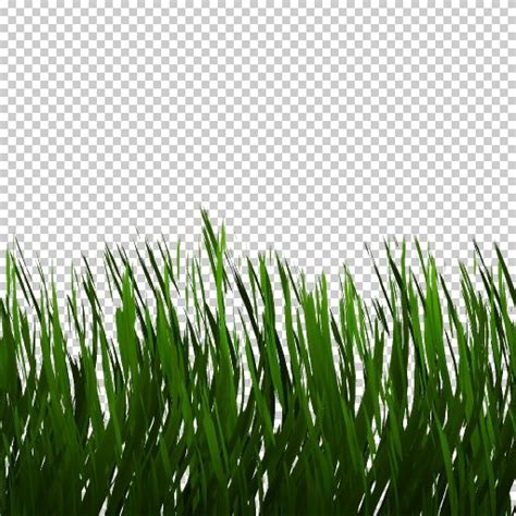 Grass (Texture) | Grass textures, Grass texture seamless, Photoshop textures