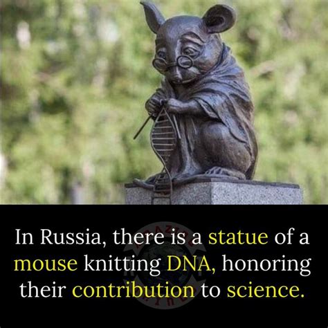 Mouse Knitting Dna Fun Science Statue Garden Statues