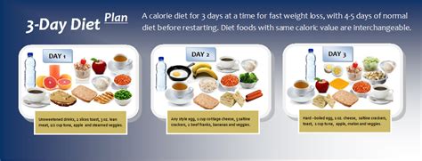 3 Day Diet Plan A Diet For Quick Weight Loss Dietplan 101