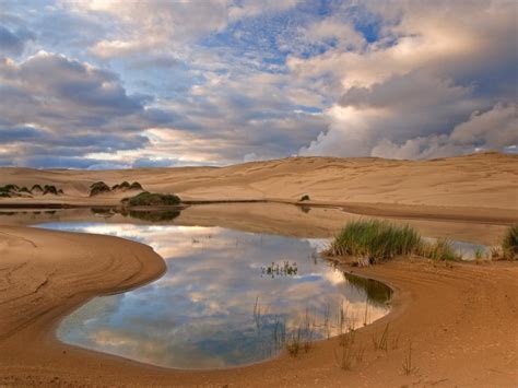 Siuslaw National Forest Oregon Wallpaper Free Download