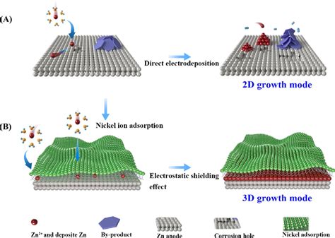 The schematic diagram for the Zn deposition process. (A) Pure Zn‐GPE ...