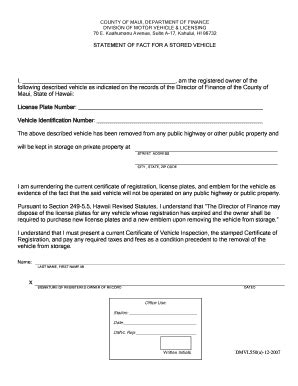 Statement Of Fact Form Fill Online Printable Fillable Blank