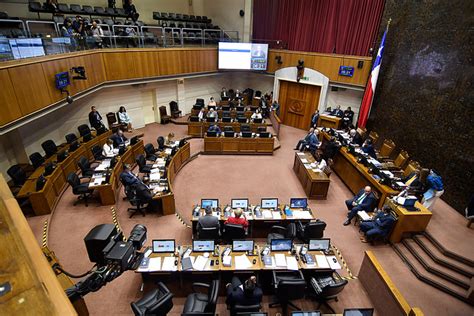 Senado Aprueba En General Paridad De Género Y Participación De