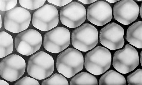 structure  crystal  cinematograph