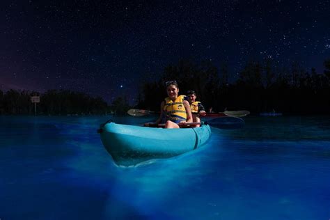 Bioluminescence Night Kayaking Tour Av Merritt Island Wildlife Refuge