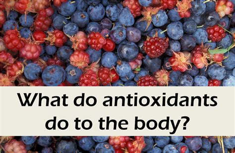 What Are Antioxidants And How Can They Benefit You HubPages