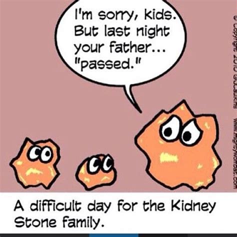 Pin By Erin Smith On Urology Humor Medical Humor Kidney Stones Funny