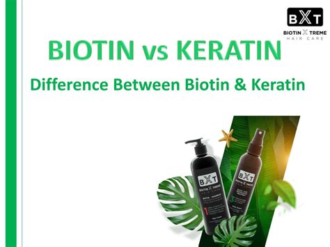 PPT Understand The Differences Between Keratin Vs Biotin Shampoo