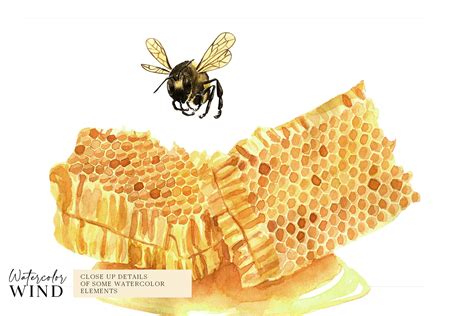 Watercolor Bee Png Clipart Honey Bee Clip Art