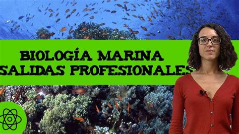 Biolog A Marina Qu Es Salidas Profesionales Youtube