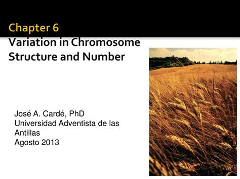 PPT Chapter 6 Variation In Chromosome Structure And Number PowerPoint