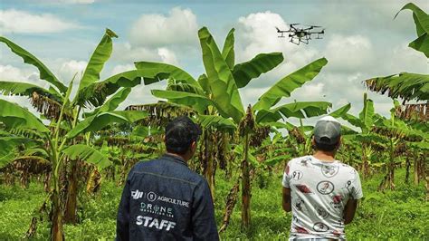 Drones En El Campo La Apuesta Para Hacer Crecer Al Sector Agr Cola En