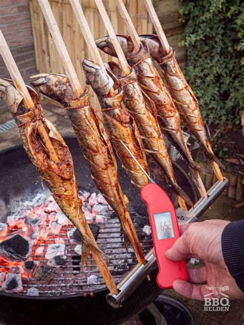 Gegrilde Makreel Met Geroosterde Salsa BBQ Helden