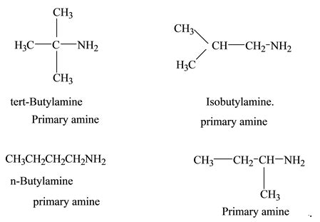 How Many Structural Isomeric Primary Amines Are Possible The Formula