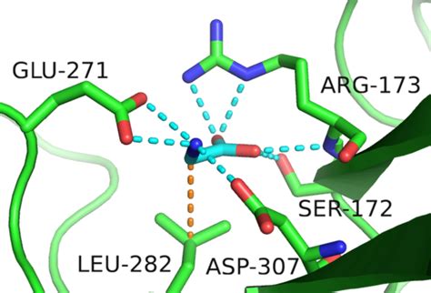 Amino Acid That Delivers Slow Down Signal To Brain May Contribute To Major Depression