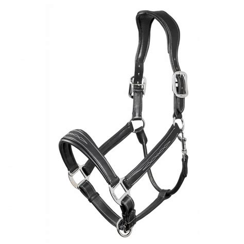 Lemieux Stitched Leather Headcollar Black For The Horse From